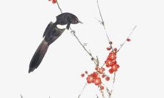 属牛的取名最佳用字大全 牛年好听宝宝名字选集