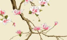 属虎本命年犯太岁怎么化解