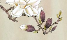 属马人2022年的感情运势