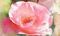 魅字取名女孩名字