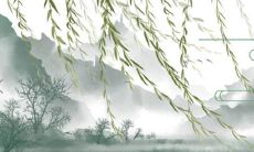 48画的名字女孩好不好