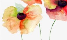 牛年在2022运势及运程