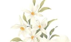 耀字和什么字搭配好听 男孩名字大全