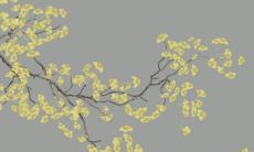 56年属猴人2022年运势如何