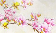 1998属虎本命年是哪一年