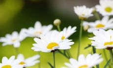 男人一生最吉利的网名 低调网名有男人味