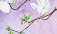 四月出生的猪宝宝取名有什么 名字推荐