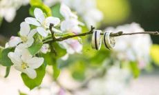 打个游戏，一言不合就挂机的星座