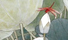 1995年11月16农历是什么星座