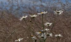 最旺财旺运两个字的网名 最火二字网名招财