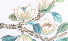 2022年属龙人的考试运势