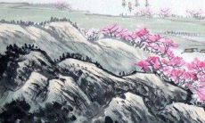 70年出生的52岁属狗人哪年发财 哪年行大运