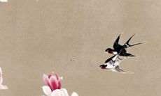 虎年2022属羊人的全年运势