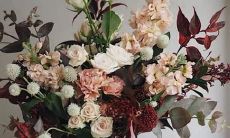 96年阴历11月20什么星座