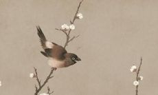 2022生肖虎1986运程