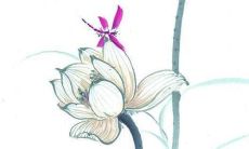 2022年最火女孩名字姓曹