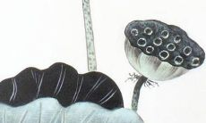 莹字后面加什么好听 女宝宝好听的名字大全