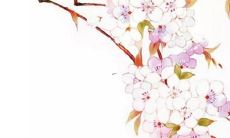 有创意的餐厅包厢名字 富含文化