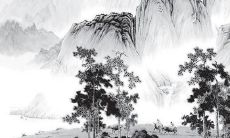 带华的女孩名字洋气