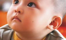 牛年女孩名字用字大全 高雅有内涵的女宝宝名