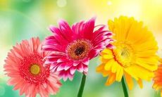 梦见下雨被淋是什么意思