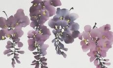 五行属水的男宝宝乳名 寓意好的名字