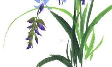 虎年出生男孩名字大全姓朱