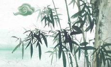 儿童节出生的女孩取什么名字