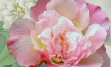 刘姓好听的名字