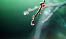 最吸引女生的美甲店名 轻奢极简店名美甲