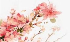 属狗女2022年的桃花运势