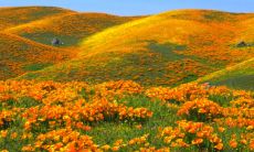 一生好运的微信昵称 一眼就爱上的微信名字