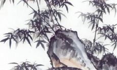 1978马女在2022年运势