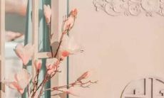 一言不合就把离婚挂在嘴边的星座女