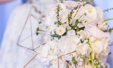 创星座的人是谁