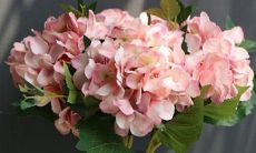 盘点见到喜欢的异性却故作镇定的星座男