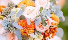 让众多女生都情不自禁臣服的星座男