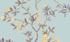 2022年唐立淇全年运势