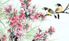 1998年虎2022年每月运势