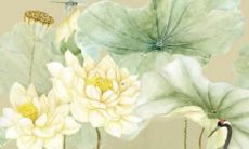 属羊的运势2022年各月运势男