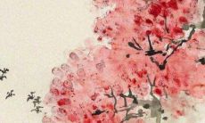 农历九月出生的虎宝宝好吗