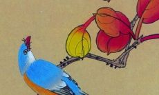 98年属虎女土命缺什么