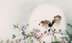 1994年属狗2022年运势及运程 每月运势详解