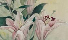 男宝宝的名字 男宝宝好听名字推荐