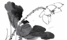 带禾字根旁的女孩名字