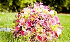 关于十二星座恋爱对象