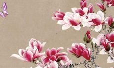 属猪人2022年横财 偏财不断的年份