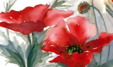 男宝宝小名简单好听 大气的乳名推荐