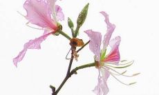 属狗人发财之年 兔年偏财运旺