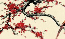 2022年虎年犯太岁生肖是什么